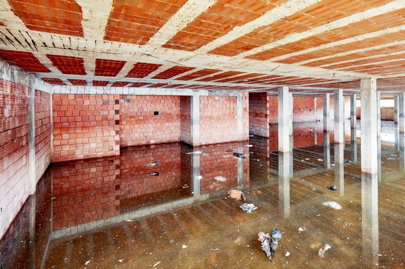 Flooded Basement Cleanup in Phoenix, AZ