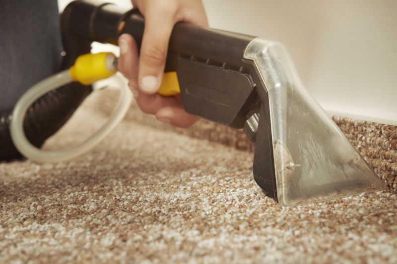 Wet Carpet Drying in Scottsdale, AZ